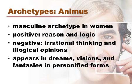 understanding animus