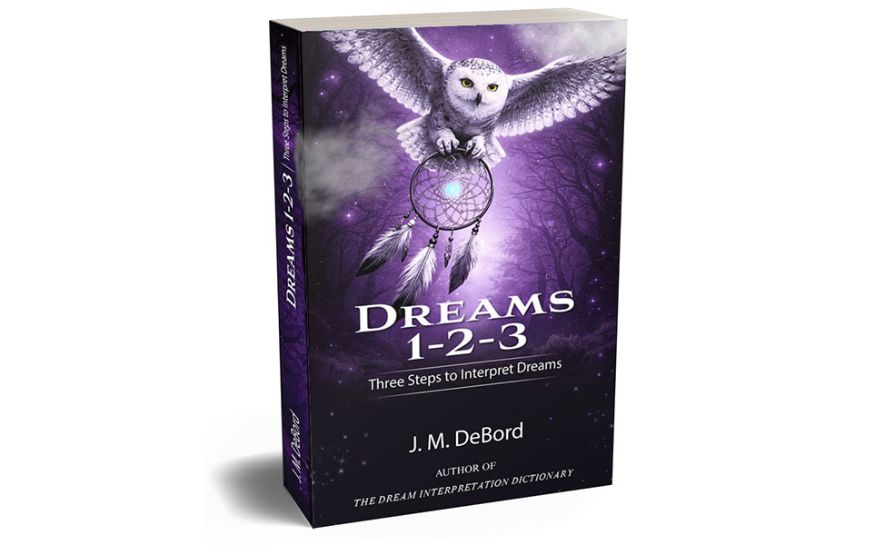 dreams 1-2-3 book by jm debord